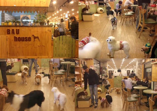 #CafeHopping in Korea – 6 Cafes You Must Not Miss In Seoul