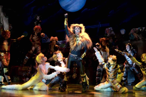 Cats Musical Singapore - Stellar UK Cast Now At Marina Bay Sands