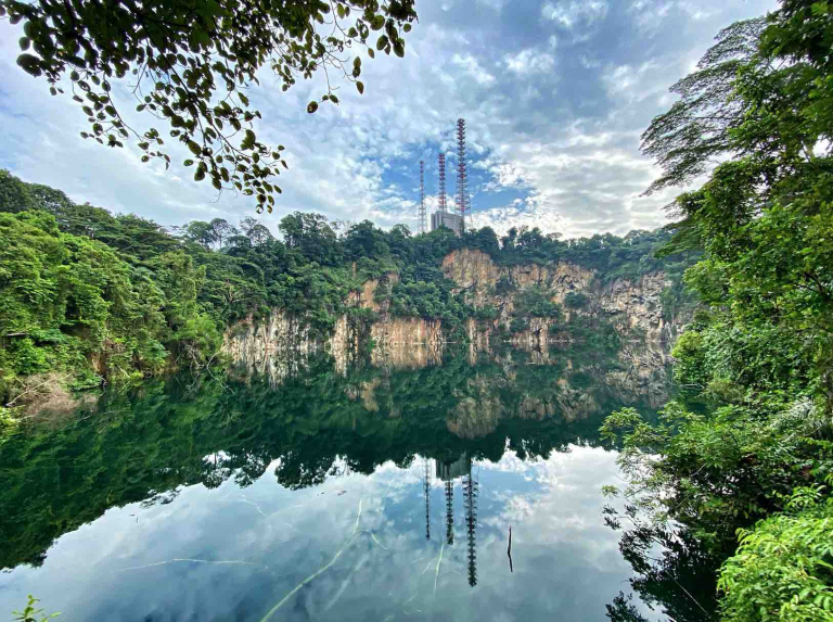 Bukit Timah Nature Reserve Explore Singapore Hidden Nature Gem