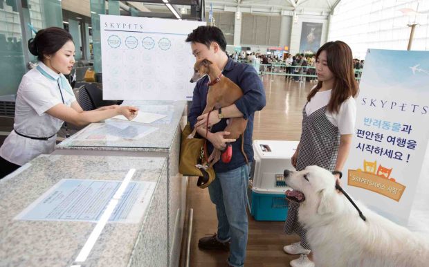 korean air travel with pet